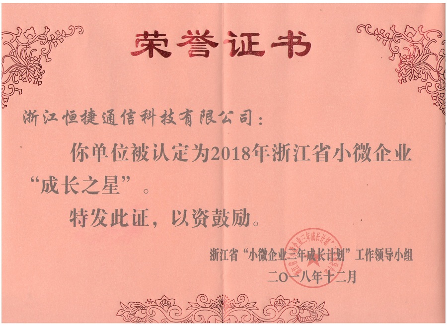 浙江省小微企業(yè)“成長之星” 榮譽證書